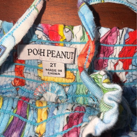 Posh peanut surfer romper 2t - Picture 3 of 4